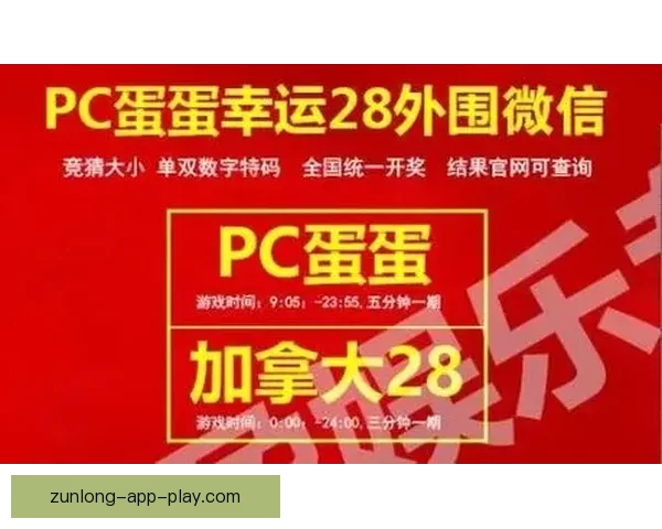 世界杯胜负竞猜规则详解及投注技巧全面解析